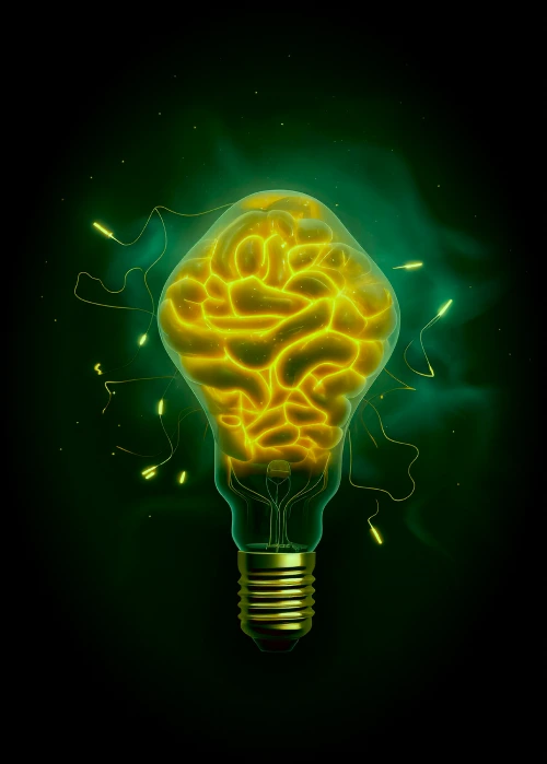 contact-page-development